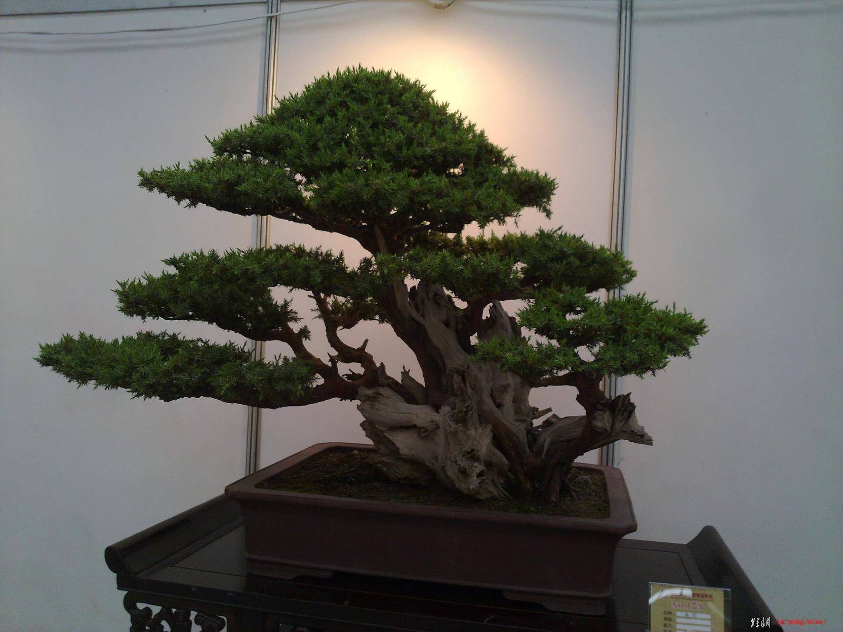 20101001241.jpg