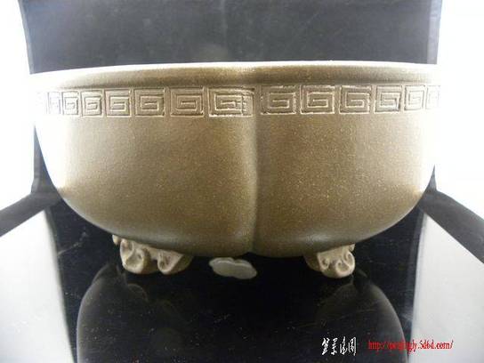 DSCN1610.JPG