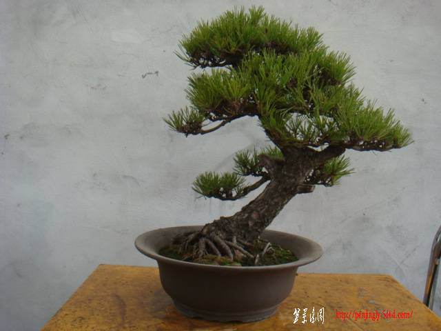 DSC07841.JPG