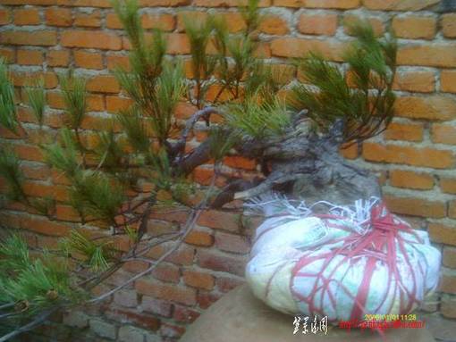IMAG00104.JPG