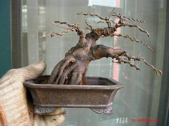 DSCN4500.JPG
