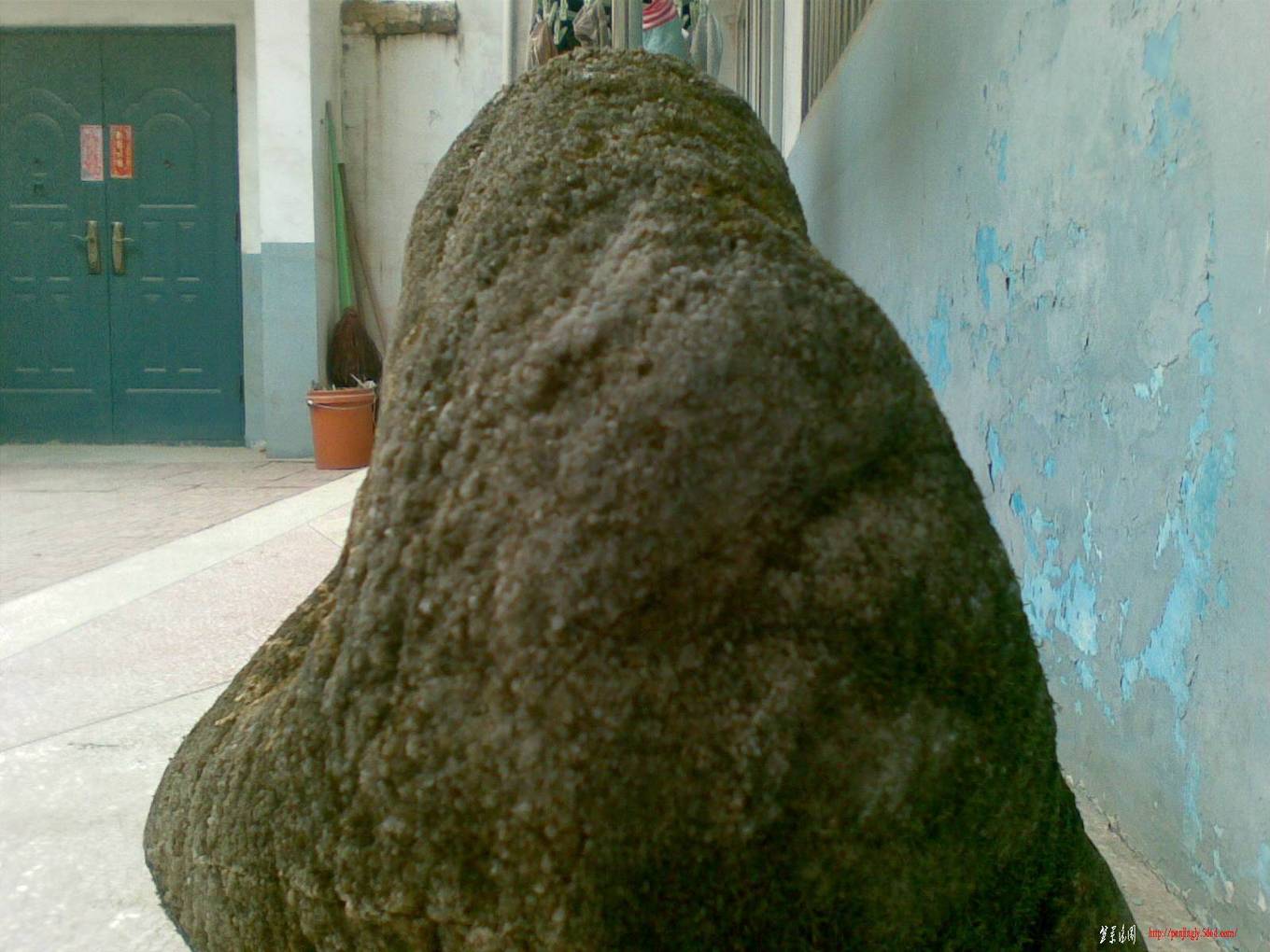20110225(007).jpg