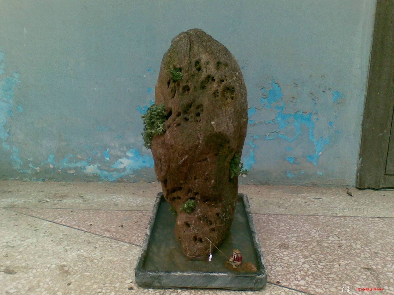 20110225.jpg