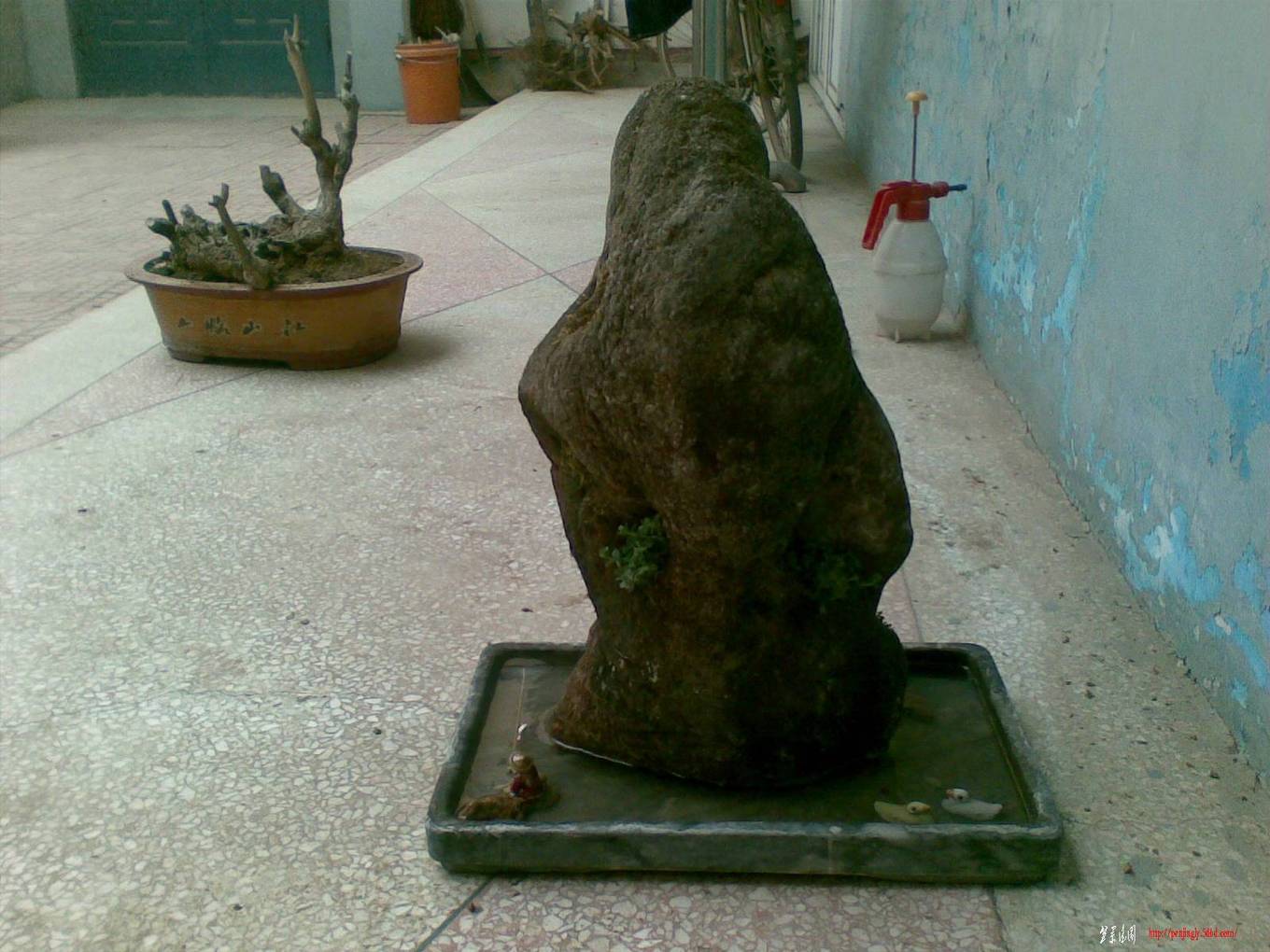 20110225(001).jpg
