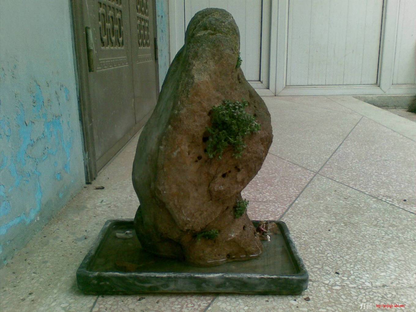 20110225(002).jpg