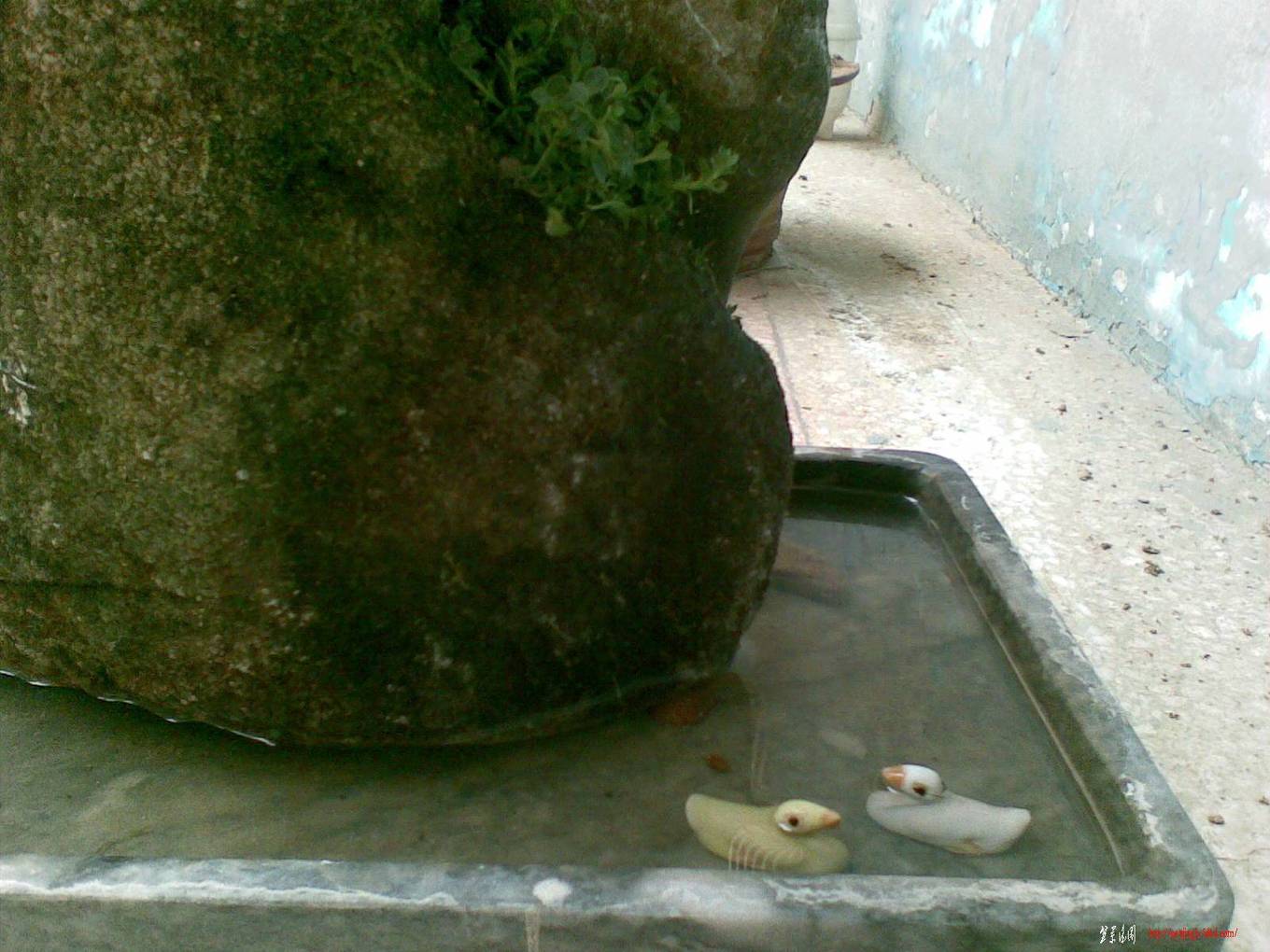 20110225(006).jpg