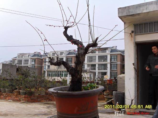 SDC10780.JPG