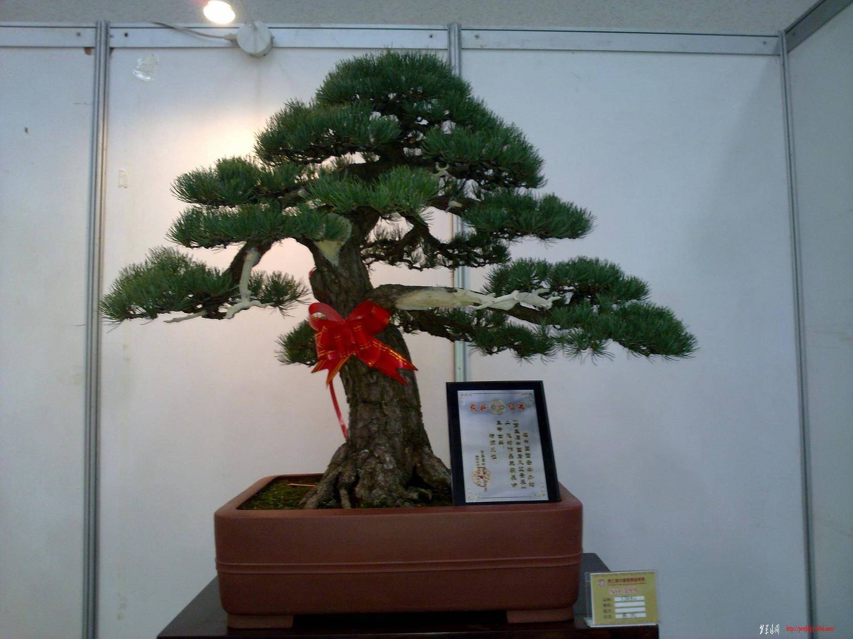 20101001255.jpg