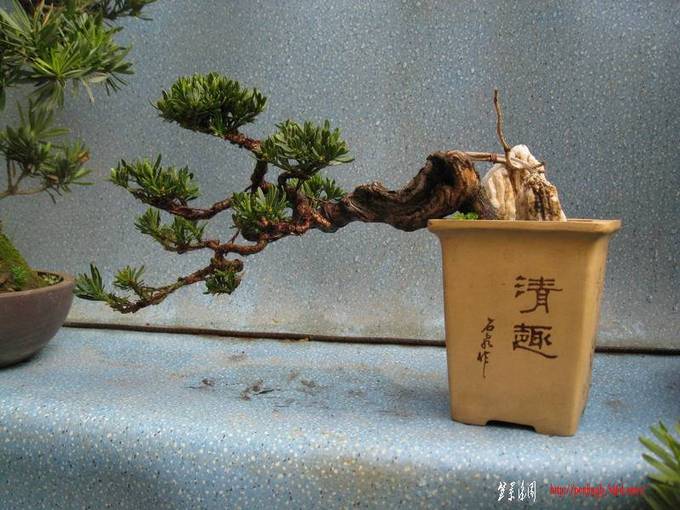 Ƭ 14010.JPG