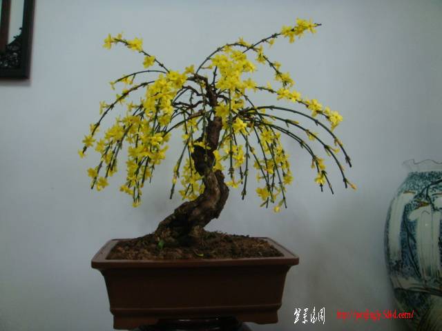 DSC01960.JPG