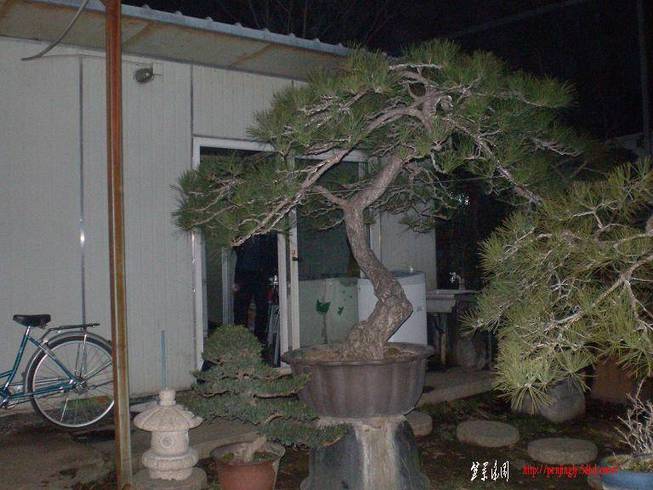 SANY1007.JPG