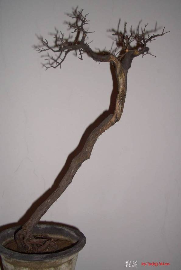 ߸ȸ11227.JPG