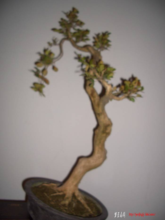 ߸˻11227.JPG