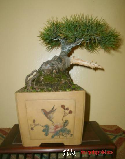 201111.jpg