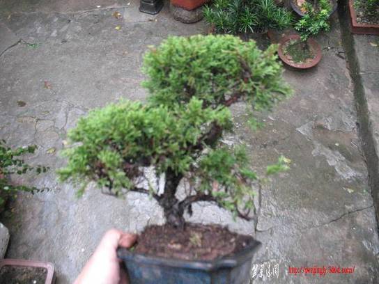Ƭ 018.jpg
