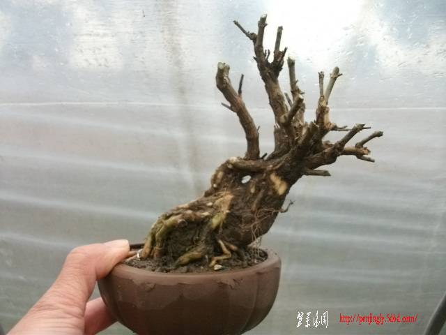 Ƭ 041.jpg