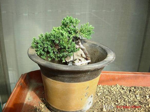 DSCN4590.JPG
