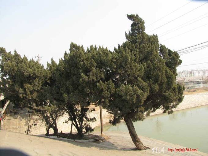 ��Ƭ 027_����.jpg