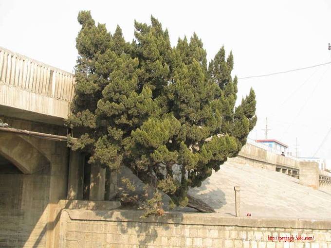 ��Ƭ 031_����.jpg