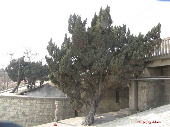 ��Ƭ 039_����.jpg