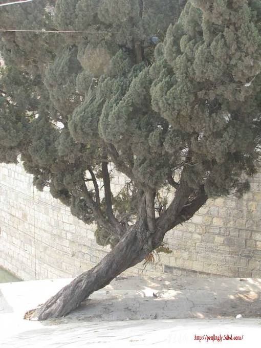 ��Ƭ 038_����.jpg