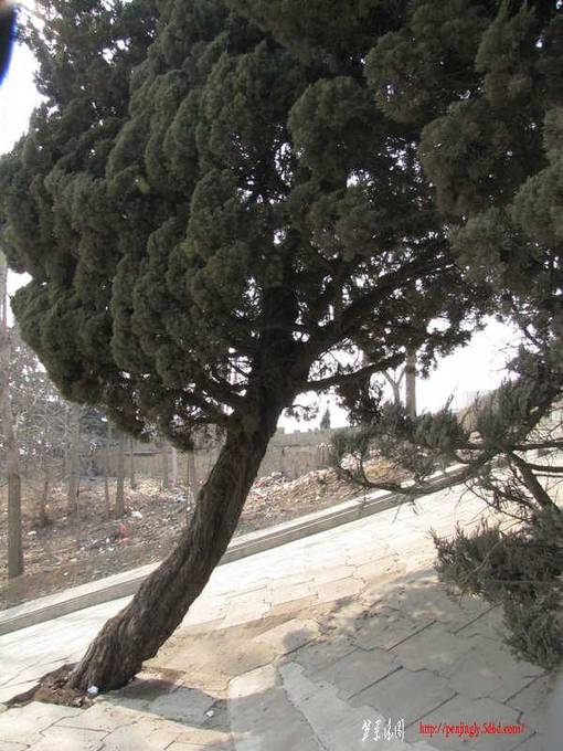 ��Ƭ 032_����.jpg