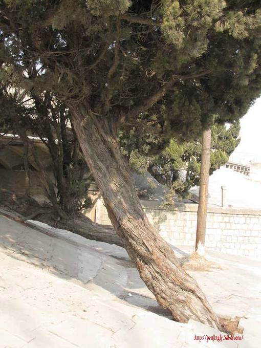 ��Ƭ 029_����.jpg