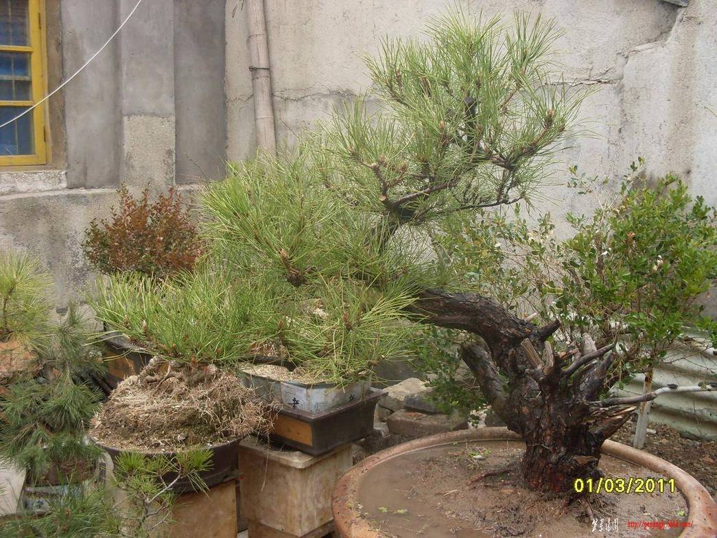 SDC13394.JPG