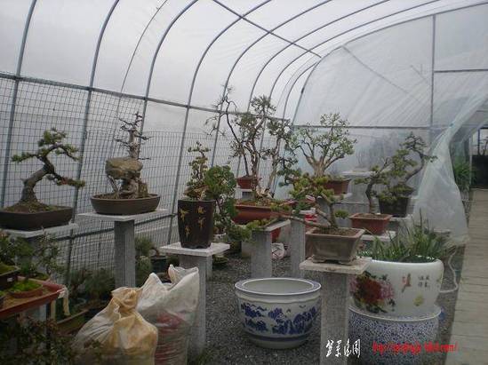 201135С԰Ƭ 013.jpg