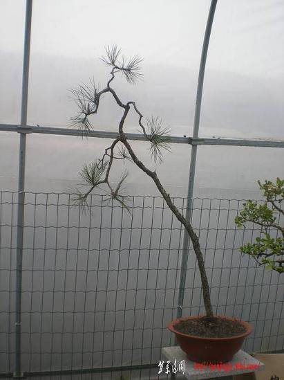 201135С԰Ƭ 020.jpg