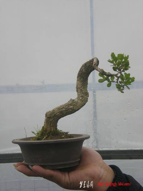 201135С԰Ƭ 045.jpg