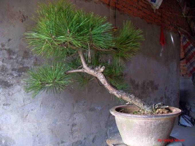 SDC14437.jpg