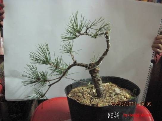 20110309 004.jpg