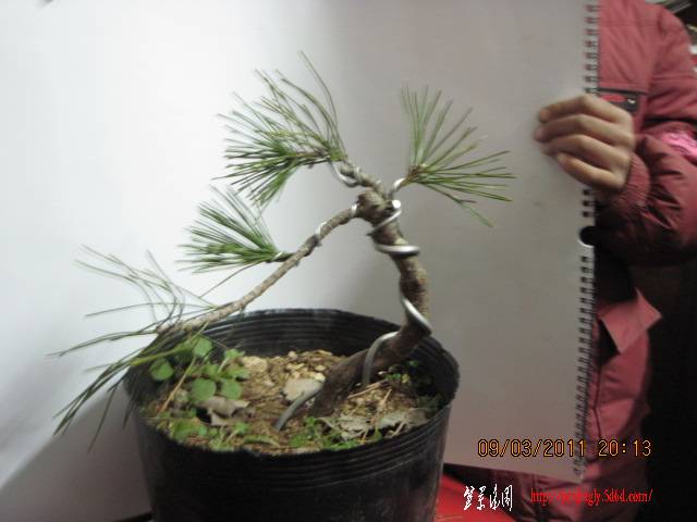 20110309 007.jpg
