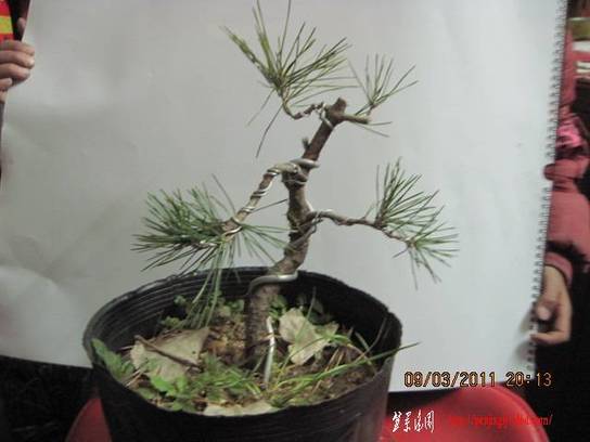 20110309 009.jpg