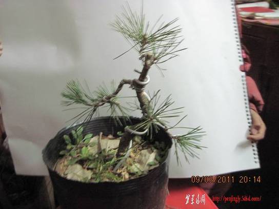 20110309 010.jpg