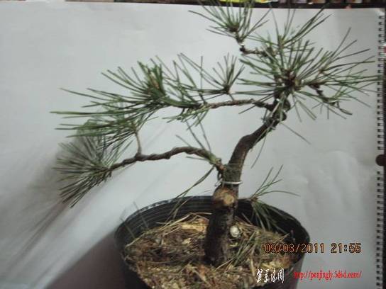 20110309 013.jpg
