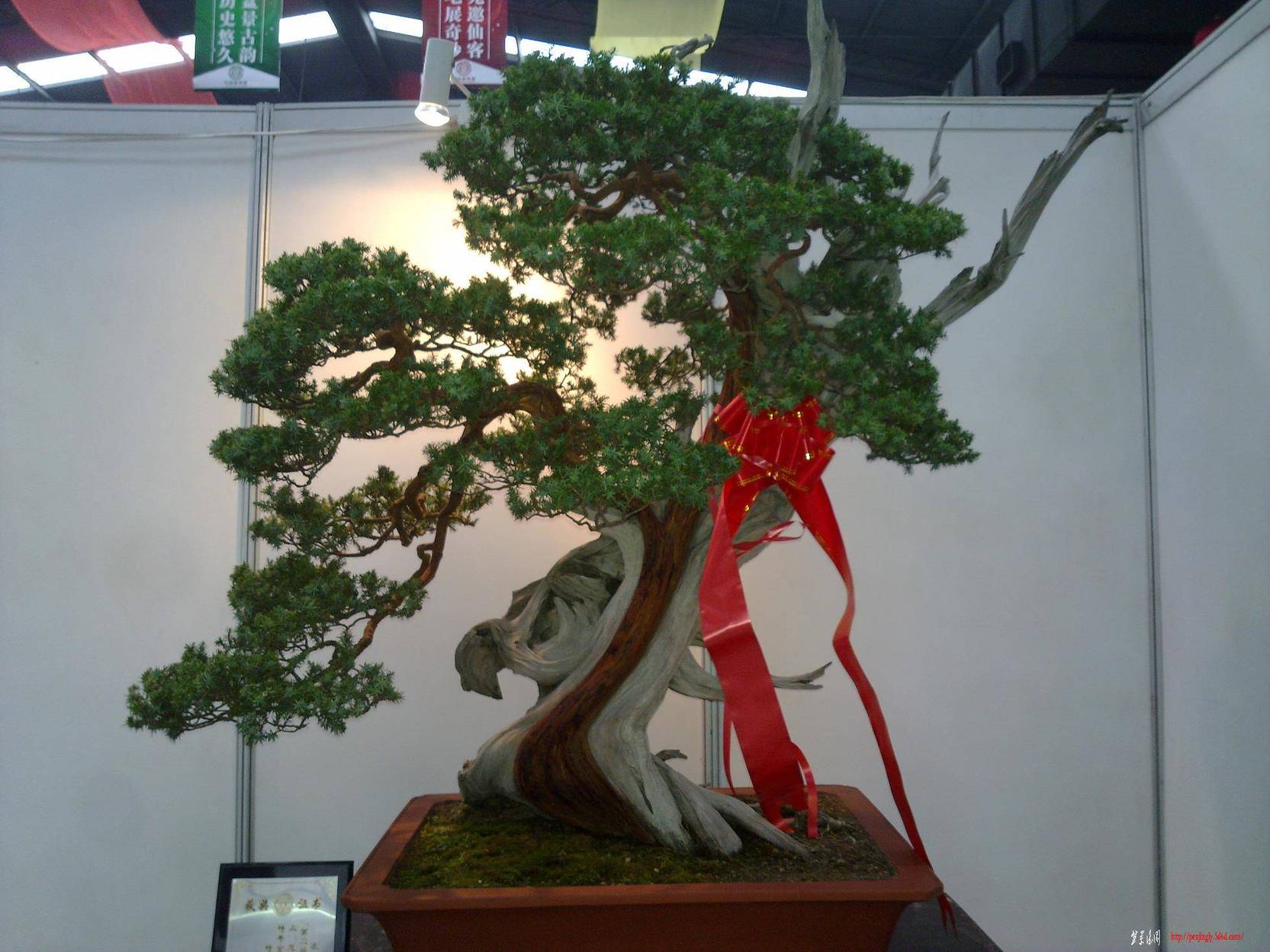 20101001269.jpg