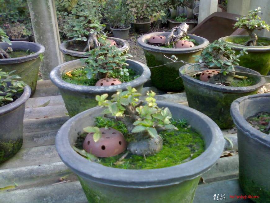 20101110074.jpg