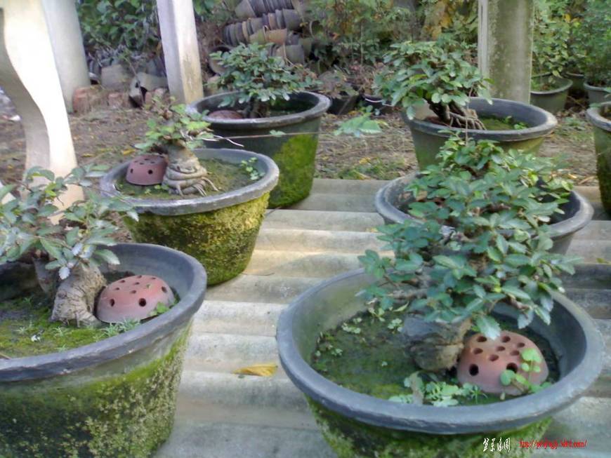20101110075.jpg