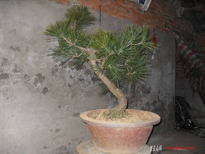 SDC14489.jpg