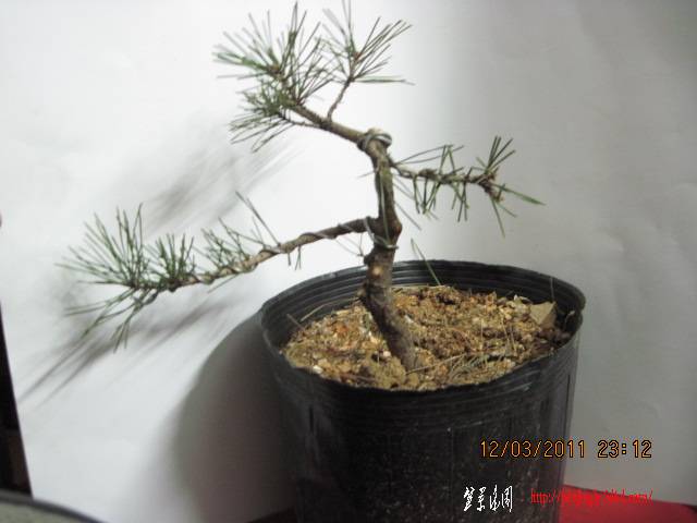 110312 007.jpg