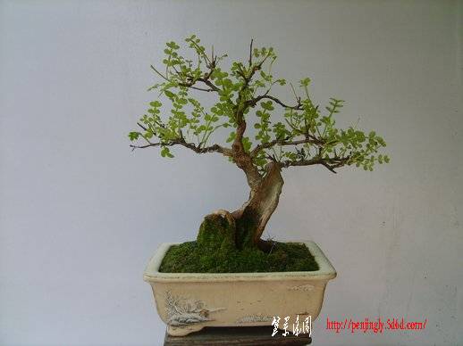S5003050.JPG