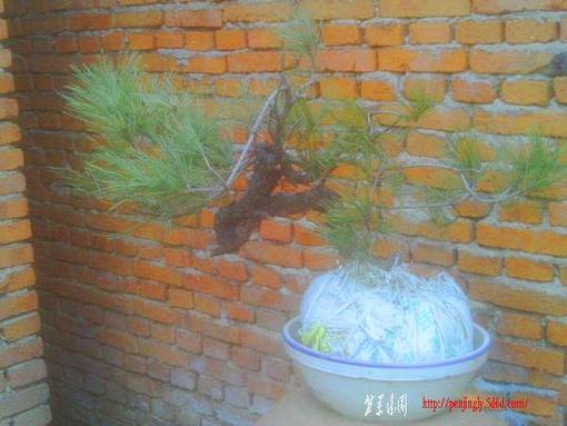 IMAG0009.JPG