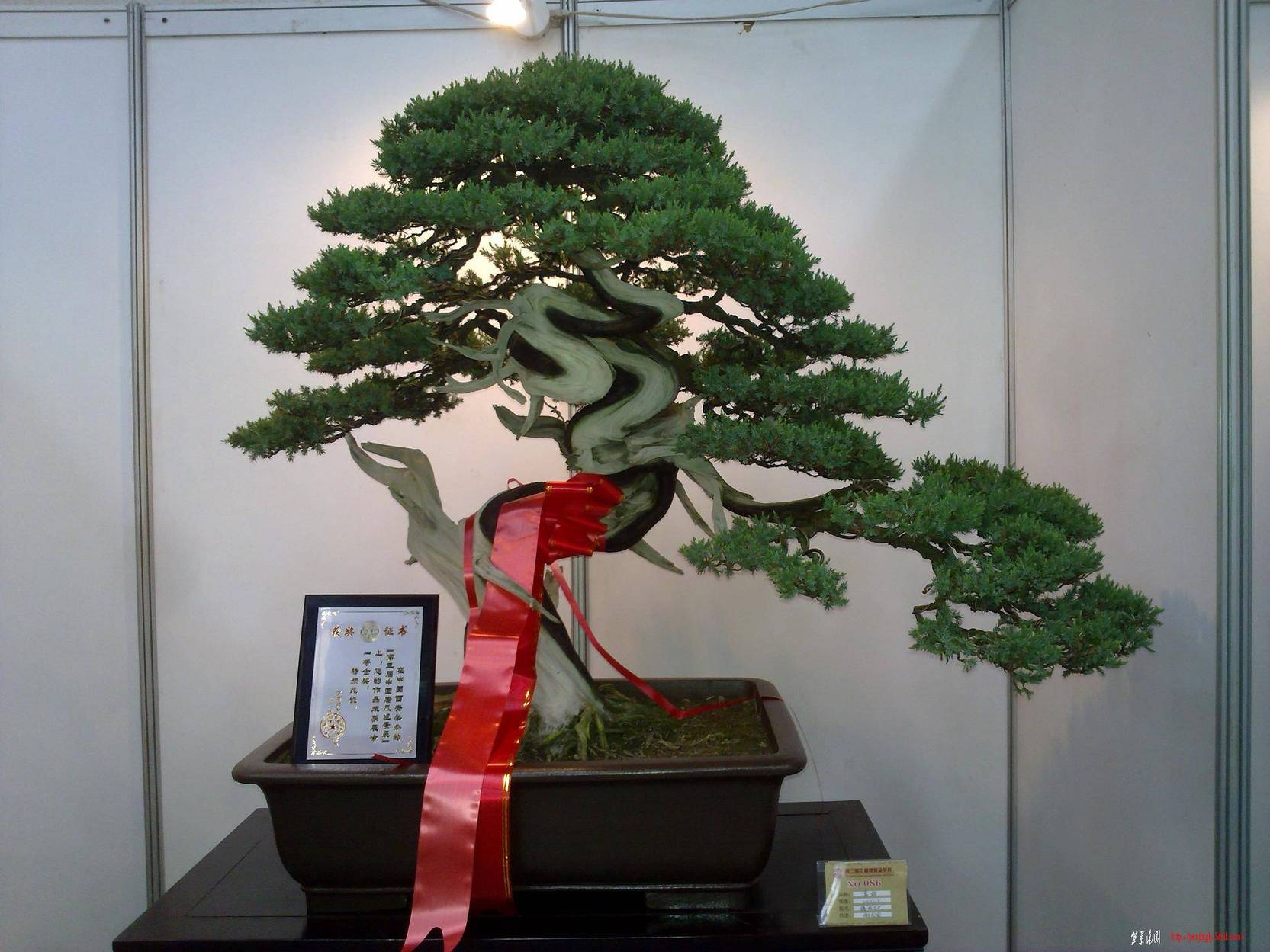 20101001272.jpg