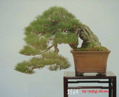 20080619_bb3cc7580cc1ae55f1f9lZe5Eh7g8JHa[1].jpg