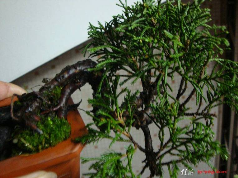 DSC04504.JPG