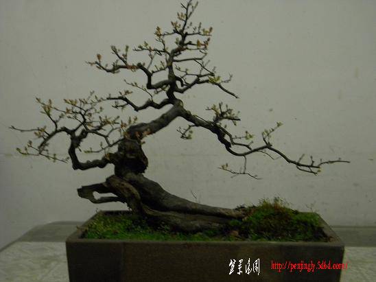 DSCN1099.JPG