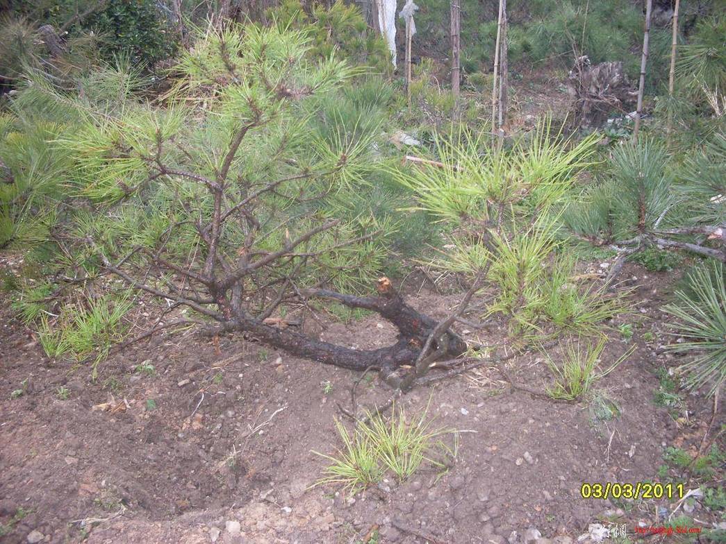 SDC13587.JPG