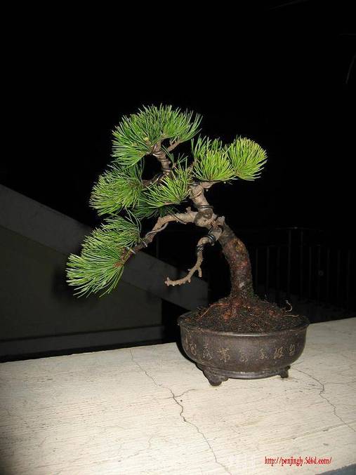 Ƭ 089.jpg